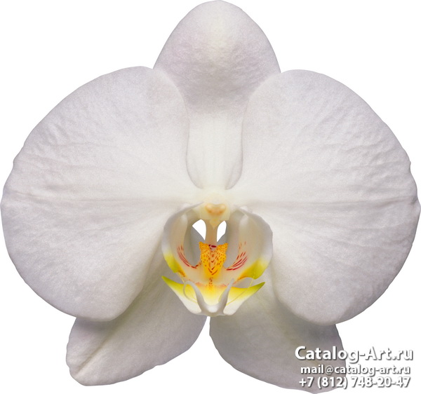 Натяжные потолки с фотопечатью - Белые орхидеи 43